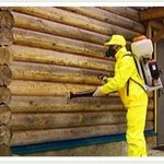Методы антисептирования деревянного дома